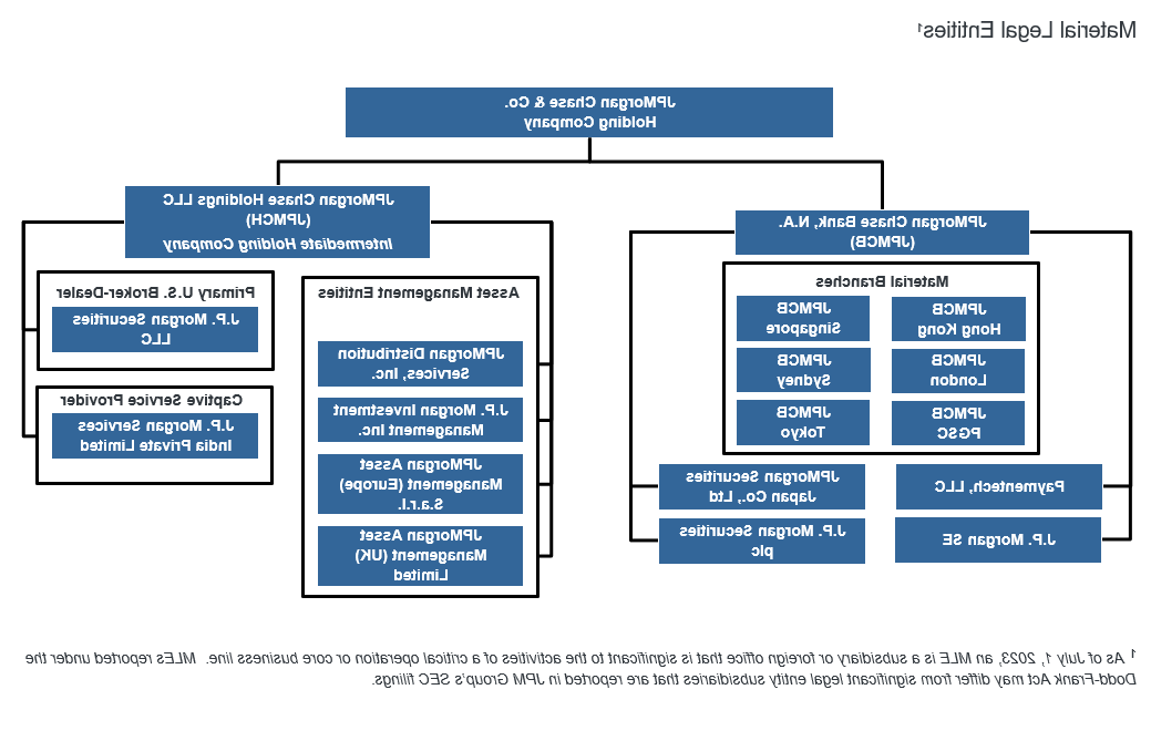 Material Legal Entities